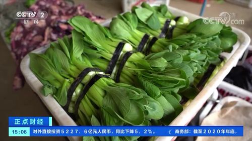 陕西省蔬菜价格显著上涨,何时回落