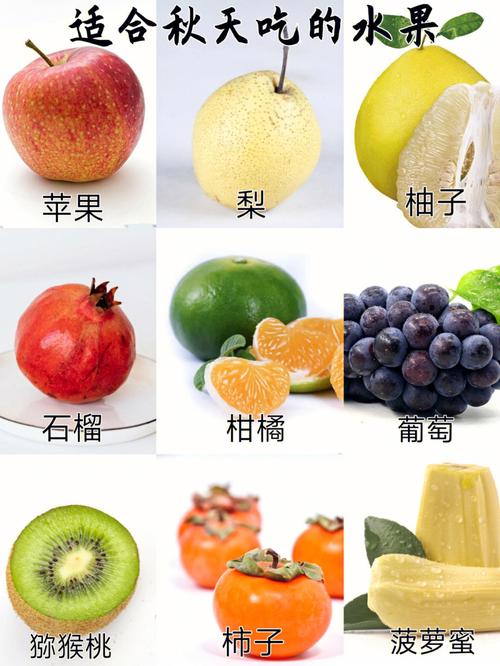 在口干舌燥的秋天,适合吃的水果96很多…93秋天当季常见水果图