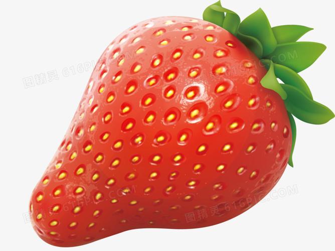 精美草莓水果图片免费下载_png素材_编号z2rir86wv_图精灵