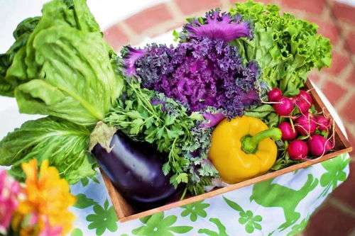白癜风患者吃深色蔬菜的益处会比浅色蔬菜的益处好吗