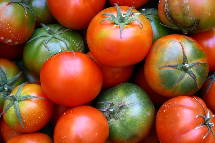 酸甜好吃的西红柿图片 水果,蔬菜,西红柿,番茄