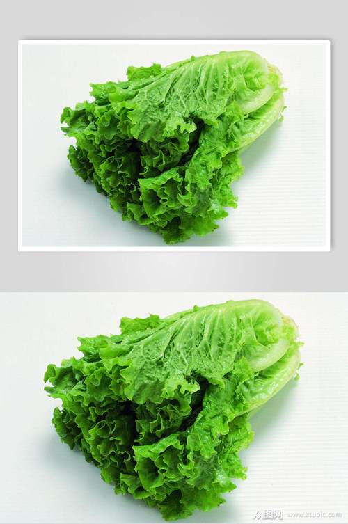 新鲜蔬菜生菜图片素材